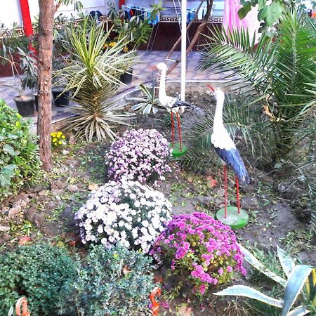 סמרקנד Hotel Rahmon מראה חיצוני תמונה