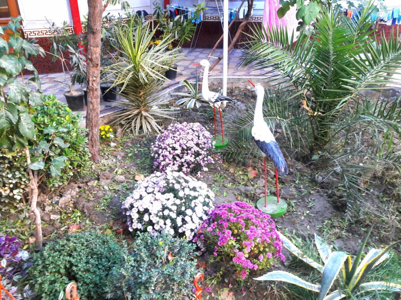 סמרקנד Hotel Rahmon מראה חיצוני תמונה